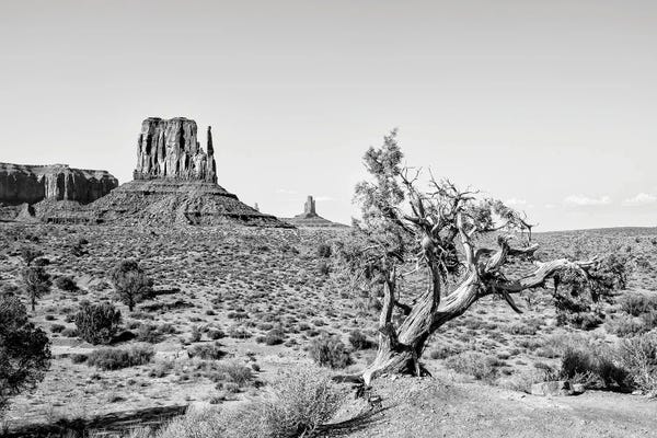 Beautiful Nature Monument Valley
