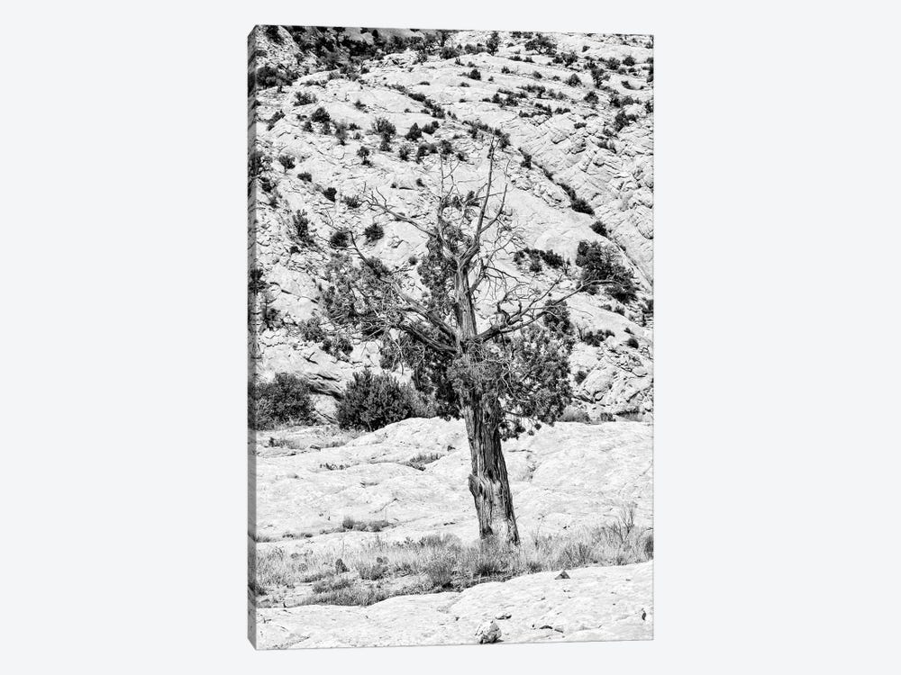 Black Arizona Series - Lonely by Philippe Hugonnard 1-piece Canvas Wall Art