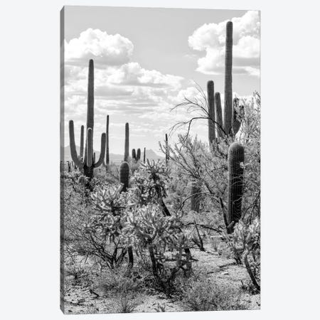 Black Arizona Series - Giant Cactus Canvas Print #PHD1532} by Philippe Hugonnard Canvas Print