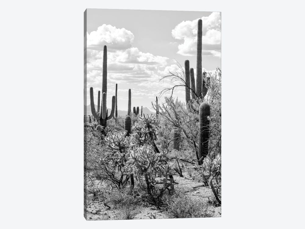 Black Arizona Series - Giant Cactus by Philippe Hugonnard 1-piece Canvas Art Print