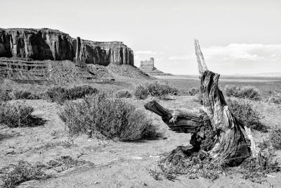 Black Arizona Series - Heart of The Valley by Philippe Hugonnard canvas print