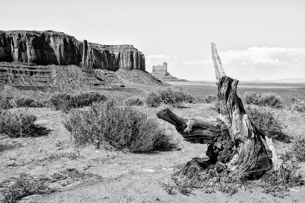 Black Arizona Series - Heart of The Valley