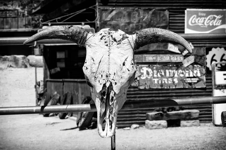 Black Arizona Series - Animal Skull Route 66