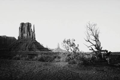 View of Monument Valley by Philippe Hugonnard art print
