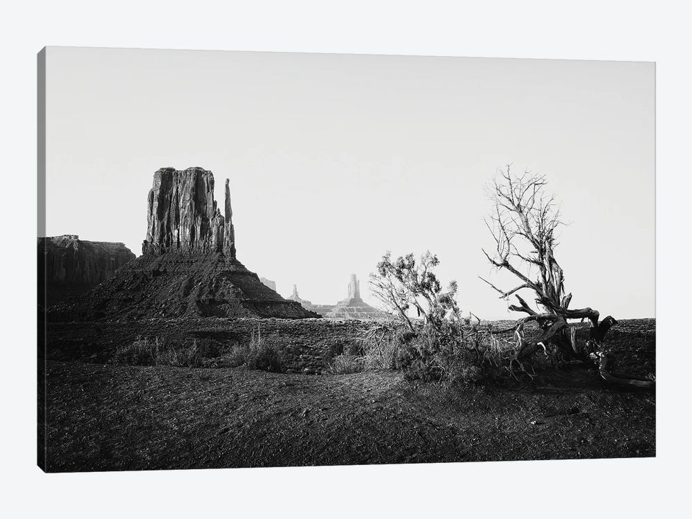 Black Arizona Series - View of Monument Valley by Philippe Hugonnard 1-piece Canvas Art