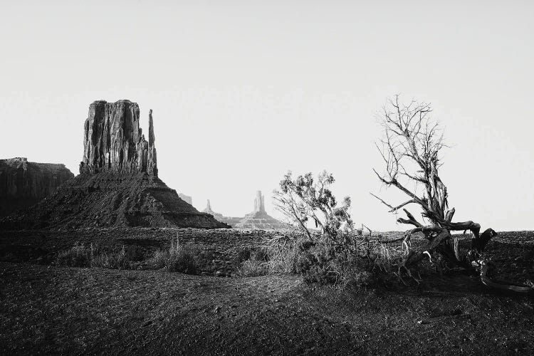 Black Arizona Series - View of Monument Valley