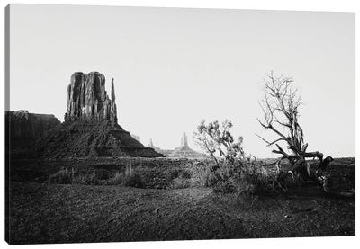 Black Arizona Series - View of Monument Valley Canvas Art Print