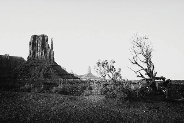 Monument Valley: View of Monument Valley by Philippe Hugonnard