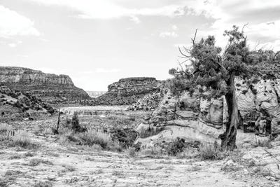 Black Arizona Series - In The Valley by Philippe Hugonnard canvas print