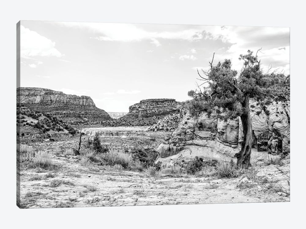 Black Arizona Series - In The Valley by Philippe Hugonnard 1-piece Canvas Print