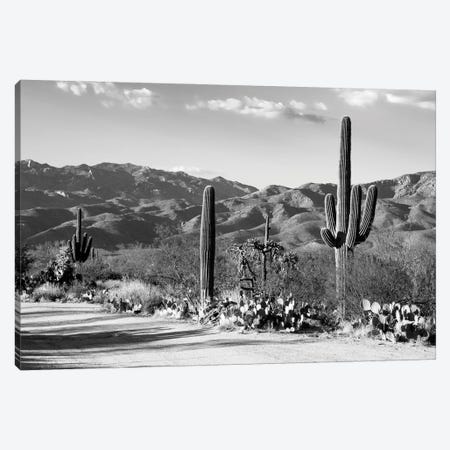 Black Arizona Series - Sentinel Of The Southwest Canvas Print #PHD1571} by Philippe Hugonnard Art Print