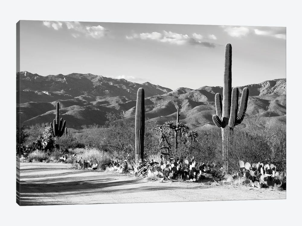 Black Arizona Series - Sentinel Of The Southwest by Philippe Hugonnard 1-piece Canvas Art