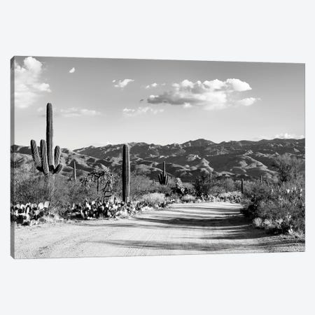 Black Arizona Series - Saguaro National Park Canvas Print #PHD1580} by Philippe Hugonnard Canvas Art