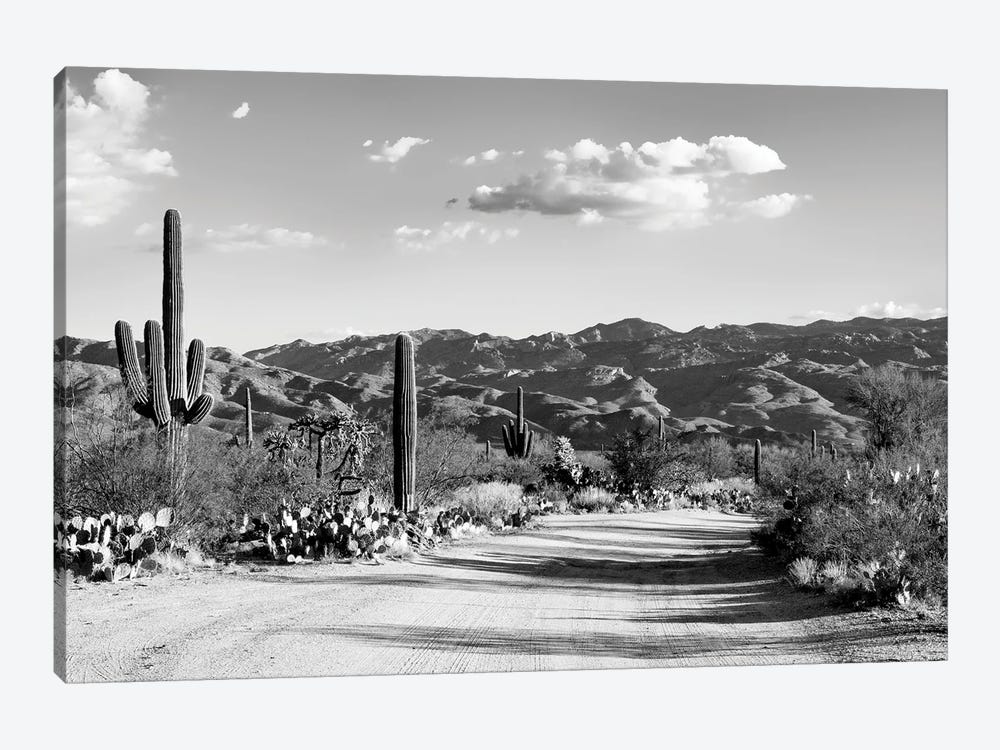 Black Arizona Series - Saguaro National Park by Philippe Hugonnard 1-piece Canvas Art
