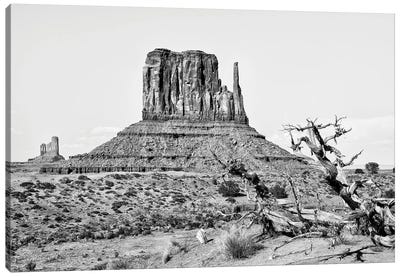 Black Arizona Series - West Mitten Butte Monument Valley II Canvas Art Print - Valley Art