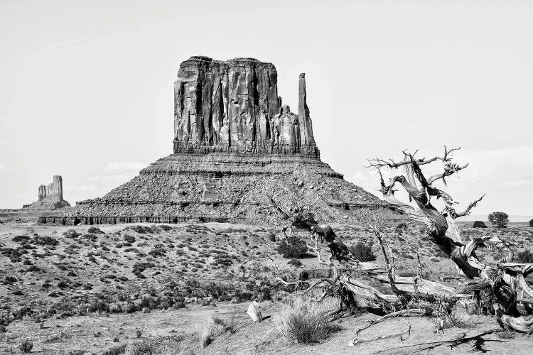 Black Arizona Series - West Mitten Butte Monument Valley II