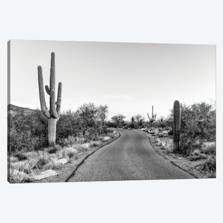 Black Arizona Series - Saguaro Road Canvas Print #PHD1589} by Philippe Hugonnard Canvas Artwork