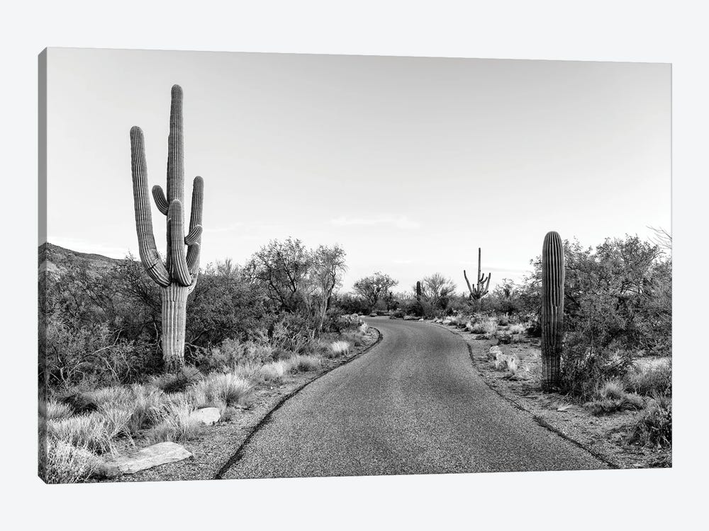Black Arizona Series - Saguaro Road by Philippe Hugonnard 1-piece Canvas Print