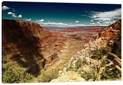 Grand Canyon Canvas Art Print - Grand Canyon National Park
