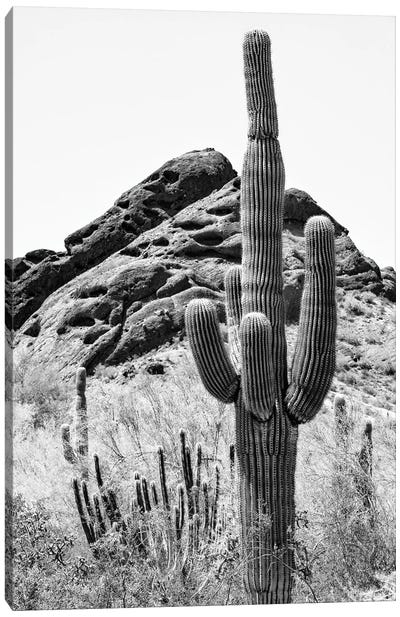 Black Arizona Series - Cactus II Canvas Art Print - All Black Collection