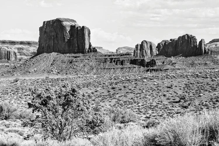 Black Arizona Series - Monument Valley V