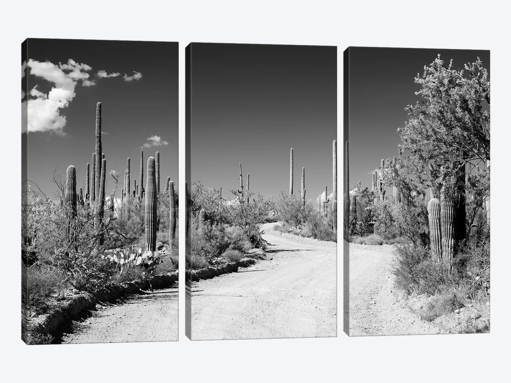 Black Arizona Series - Along The Path by Philippe Hugonnard 3-piece Canvas Art