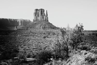 Monument Valley West Mitten Butte III by Philippe Hugonnard art print