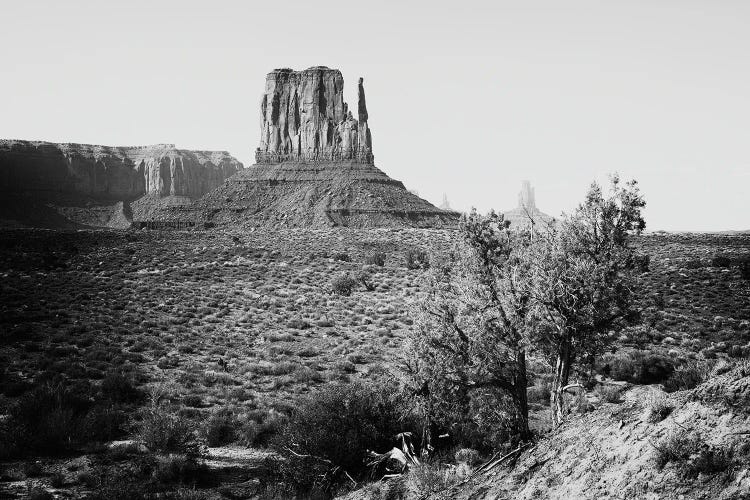 Black Arizona Series - Monument Valley West Mitten Butte III