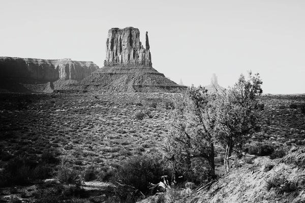 Monument Valley West Mitten Butte III