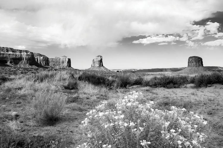 Black Arizona Series - The Monument Valley