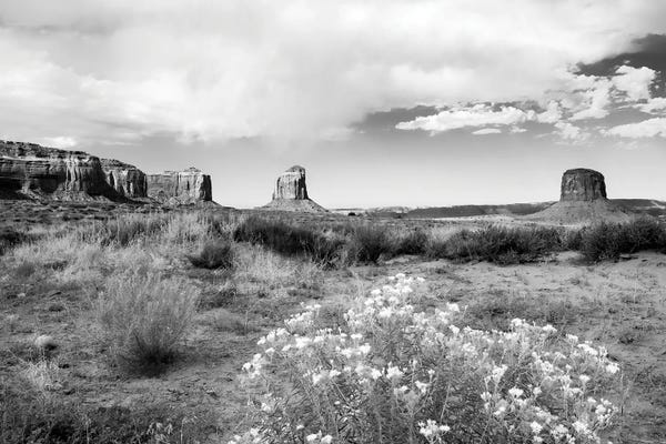 The Monument Valley