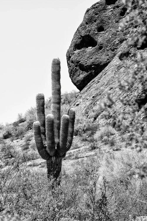 Black Arizona Series - Monument Valley West Mitten Butte IIIX