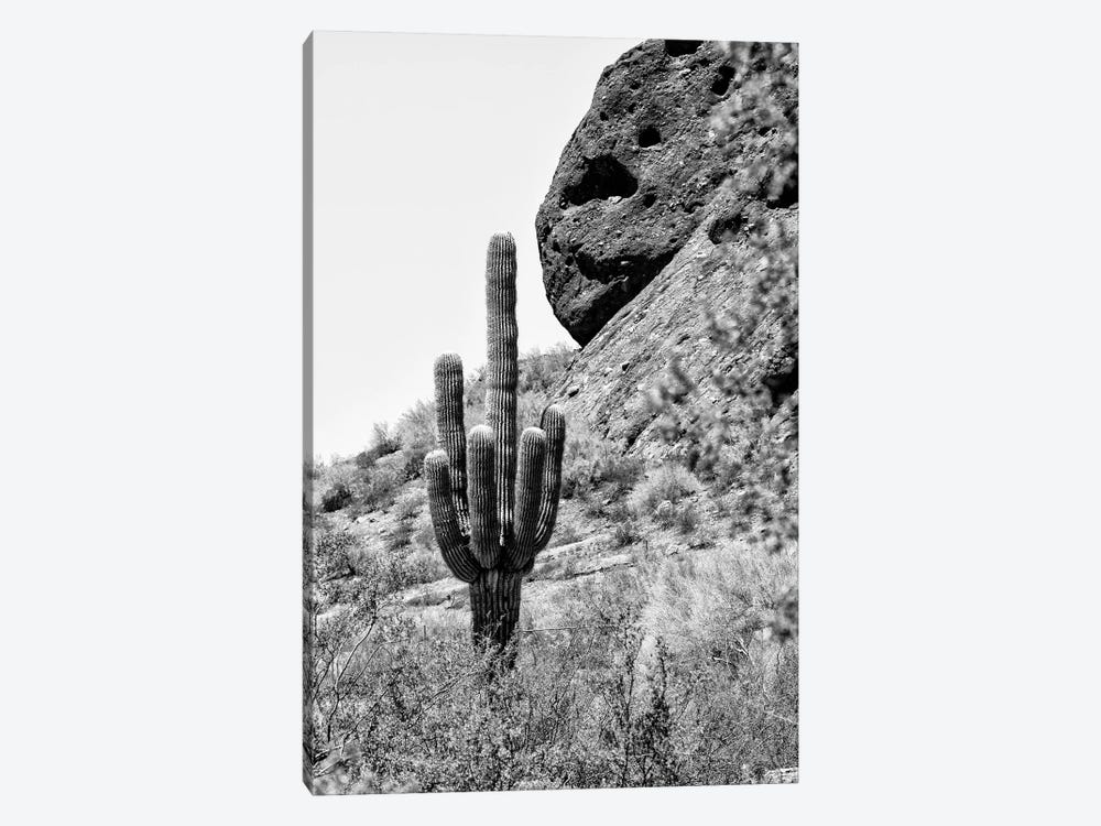 Black Arizona Series - Monument Valley West Mitten Butte IIIX by Philippe Hugonnard 1-piece Canvas Artwork