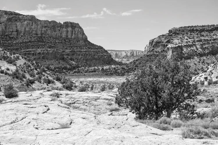 The Valley by Philippe Hugonnard wall art