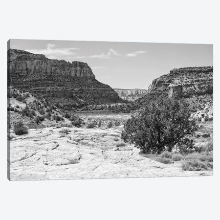 Black Arizona Series - The Valley Canvas Print #PHD1607} by Philippe Hugonnard Canvas Artwork