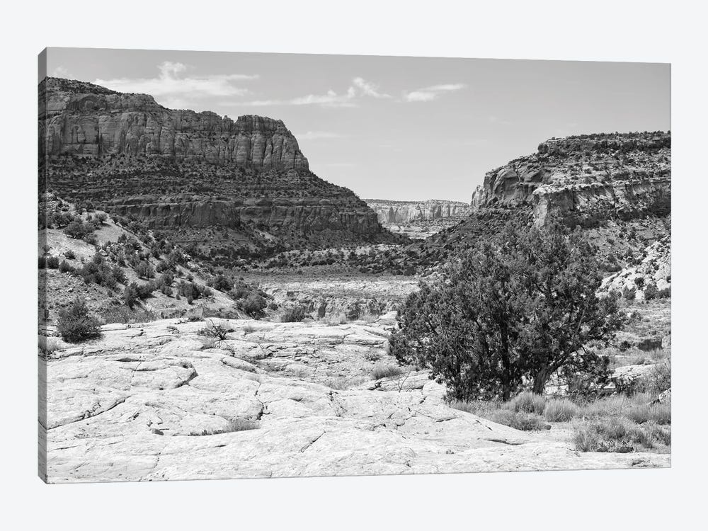 Black Arizona Series - The Valley by Philippe Hugonnard 1-piece Art Print