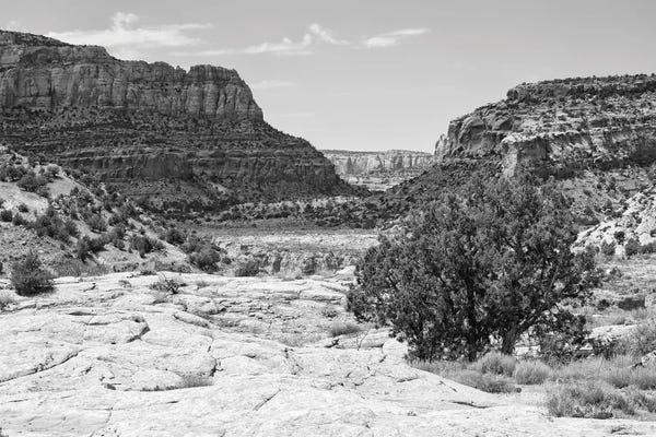 The Valley
