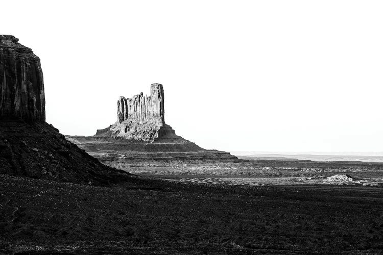 Black Arizona Series - Stagecoach and Bear Butte Monument Valley