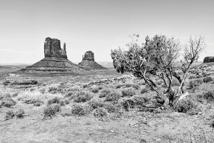 Black Arizona Series - The Monument Valley V