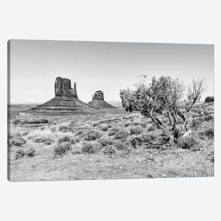 Black Arizona Series - The Monument Valley V Canvas Print #PHD1621} by Philippe Hugonnard Canvas Art Print