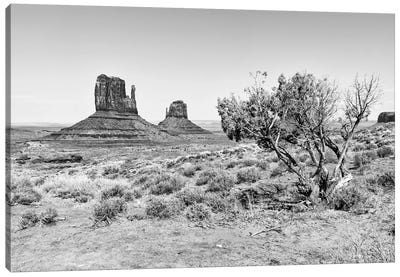Black Arizona Series - The Monument Valley V Canvas Art Print