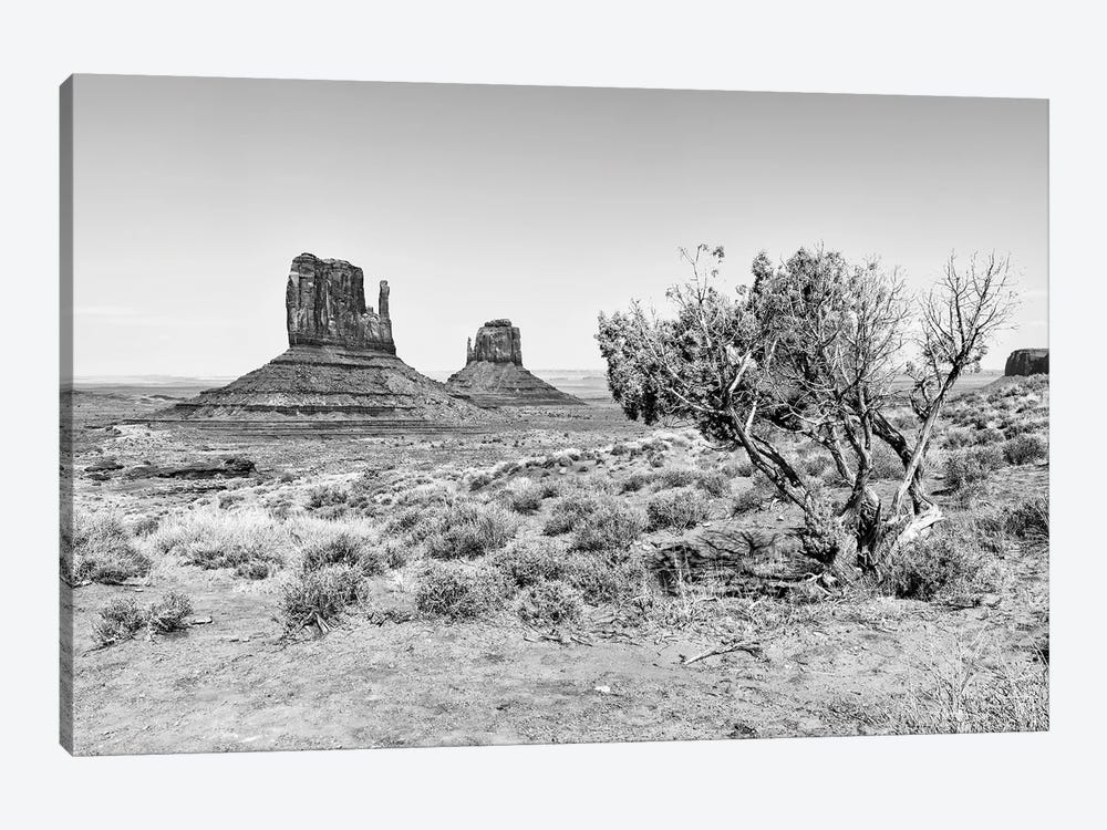 Black Arizona Series - The Monument Valley V by Philippe Hugonnard 1-piece Art Print