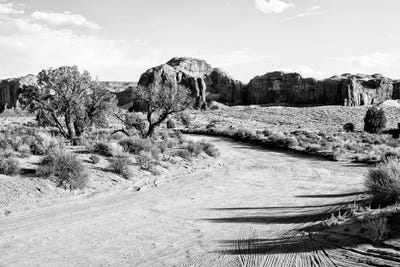 Monument Valley Path by Philippe Hugonnard art print