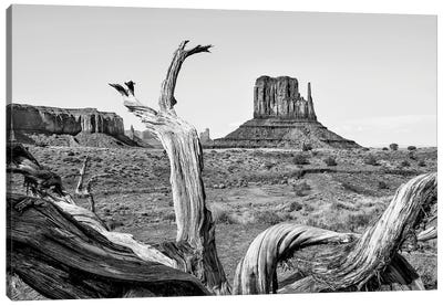 Black Arizona Series - Amazing Monument Valley Canvas Art Print - Arizona Art