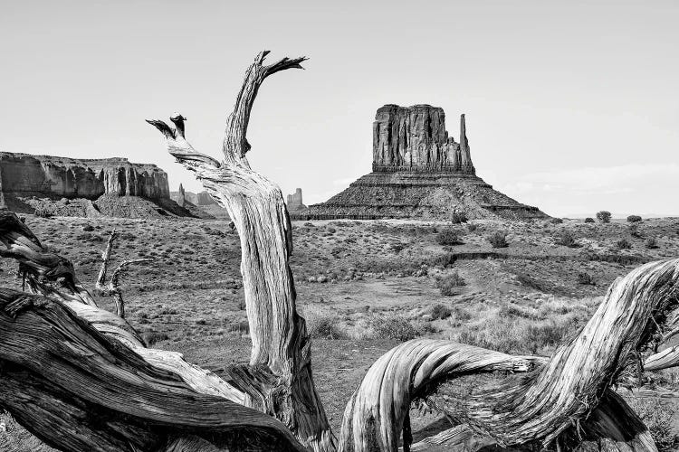 Black Arizona Series - Amazing Monument Valley