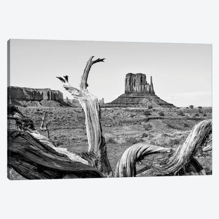 Black Arizona Series - Amazing Monument Valley Canvas Print #PHD1641} by Philippe Hugonnard Art Print
