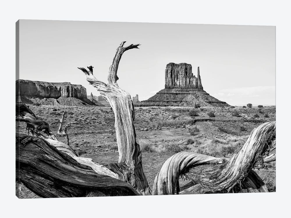 Black Arizona Series - Amazing Monument Valley by Philippe Hugonnard 1-piece Canvas Art Print