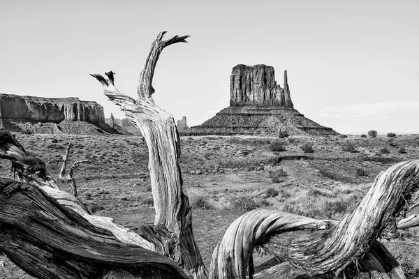 Amazing Monument Valley