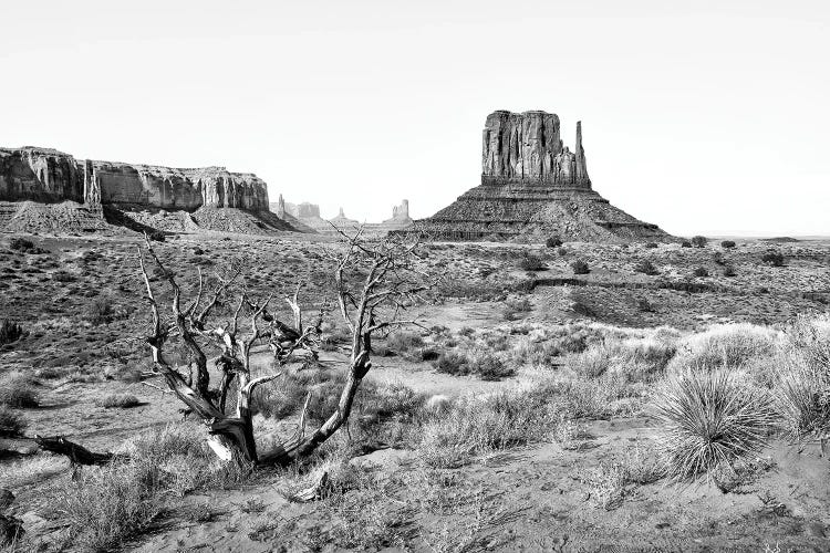 Black Arizona Series - Monument Valley VI