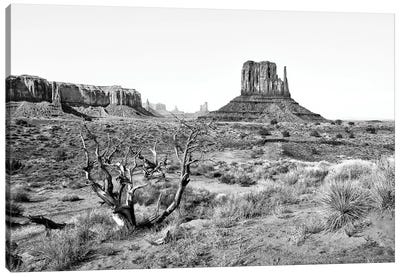 Black Arizona Series - Monument Valley VI Canvas Art Print